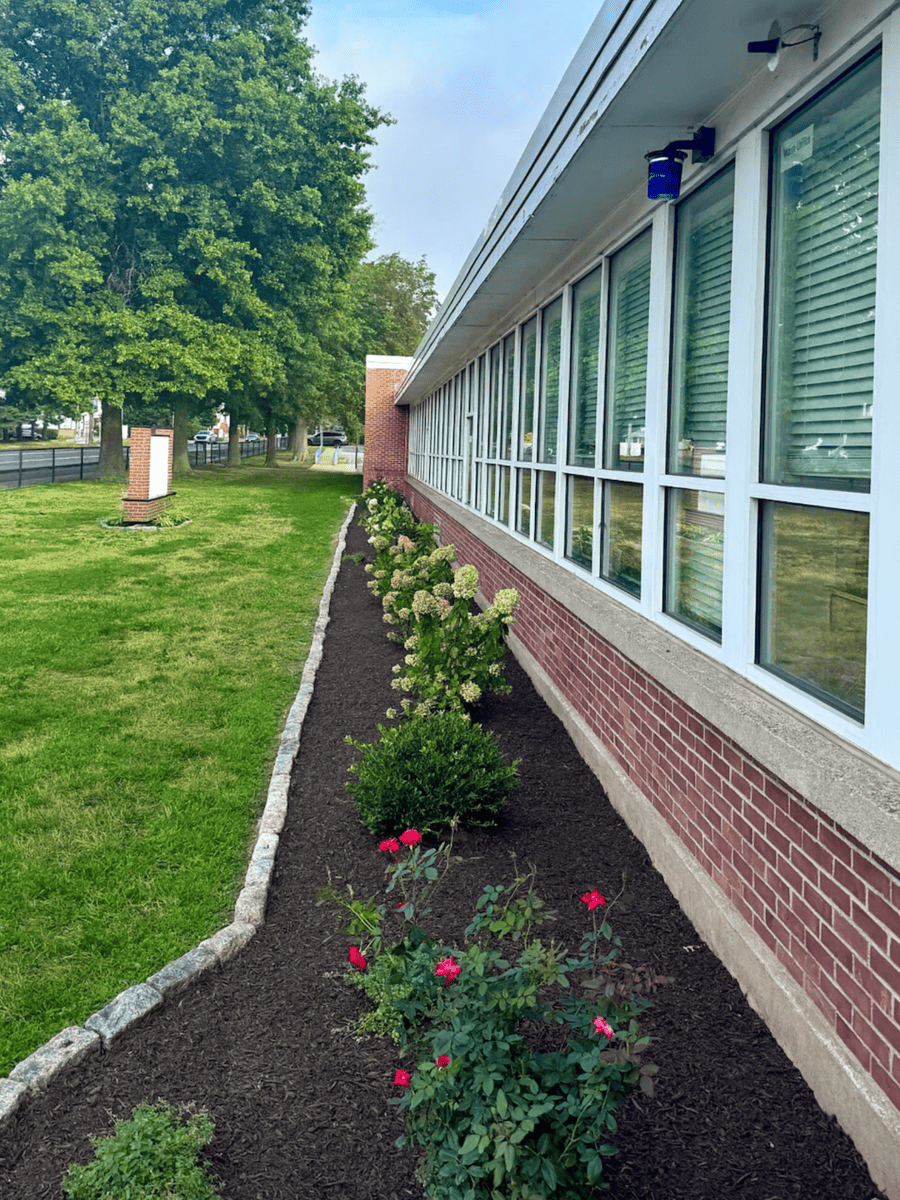Planting Design & Installation at Nichols Elementary School in Stratford, CT Thumbnail